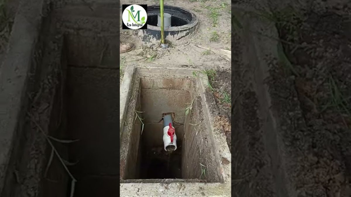 mantenimiento ecológico de saneamiento