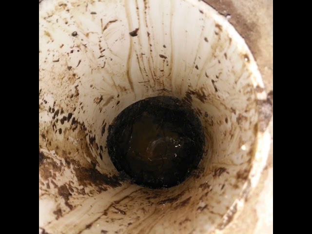 prevención de raíces en tuberías